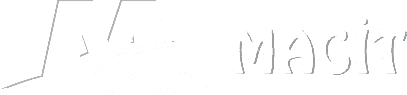 Footer Logo